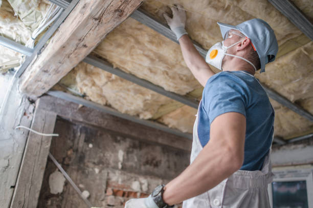 Best DIY Insulation Kits and Guidance in Lisbon, OH