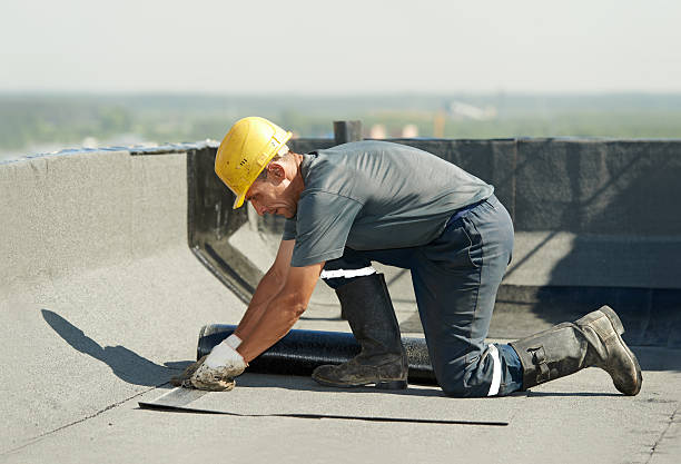 Best Specialized Insulation Services in Lisbon, OH