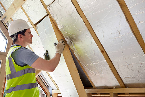 Best Cellulose Insulation in Lisbon, OH